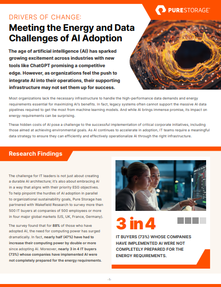 DRIVERS OF CHANGE: Meeting the Energy and Data Challenges of AI Adoption